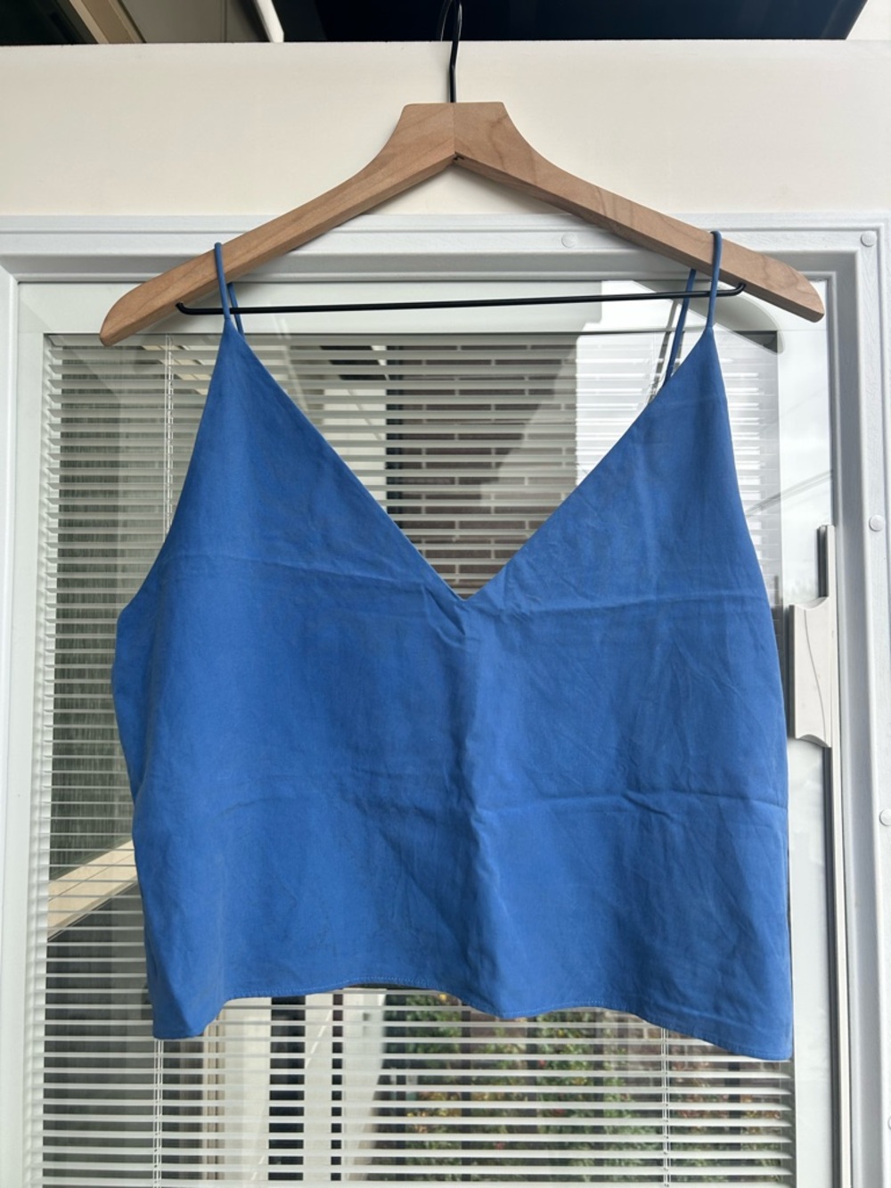 Everlane Cobalt Blue V-Neck Spaghetti Strap Camisole